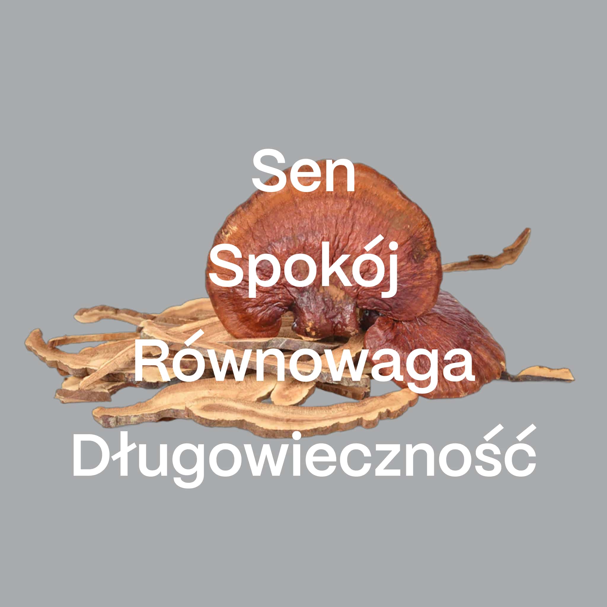 Zestaw Odnowy