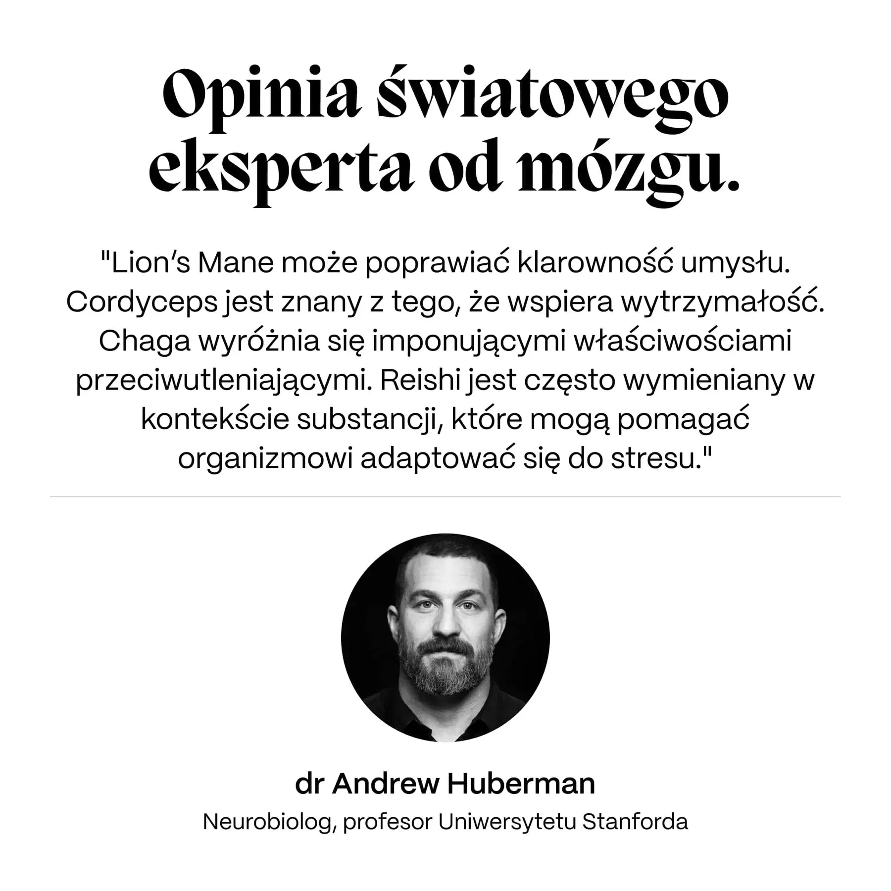 Kompletny Zestaw Grzybów