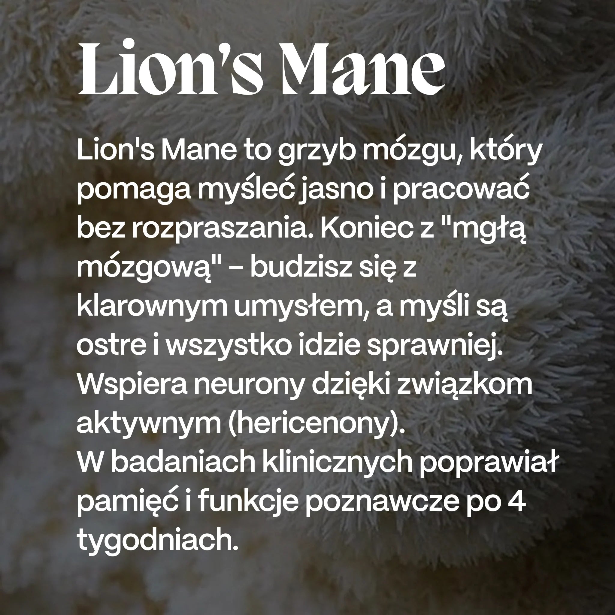 Lion's Mane - korzyści