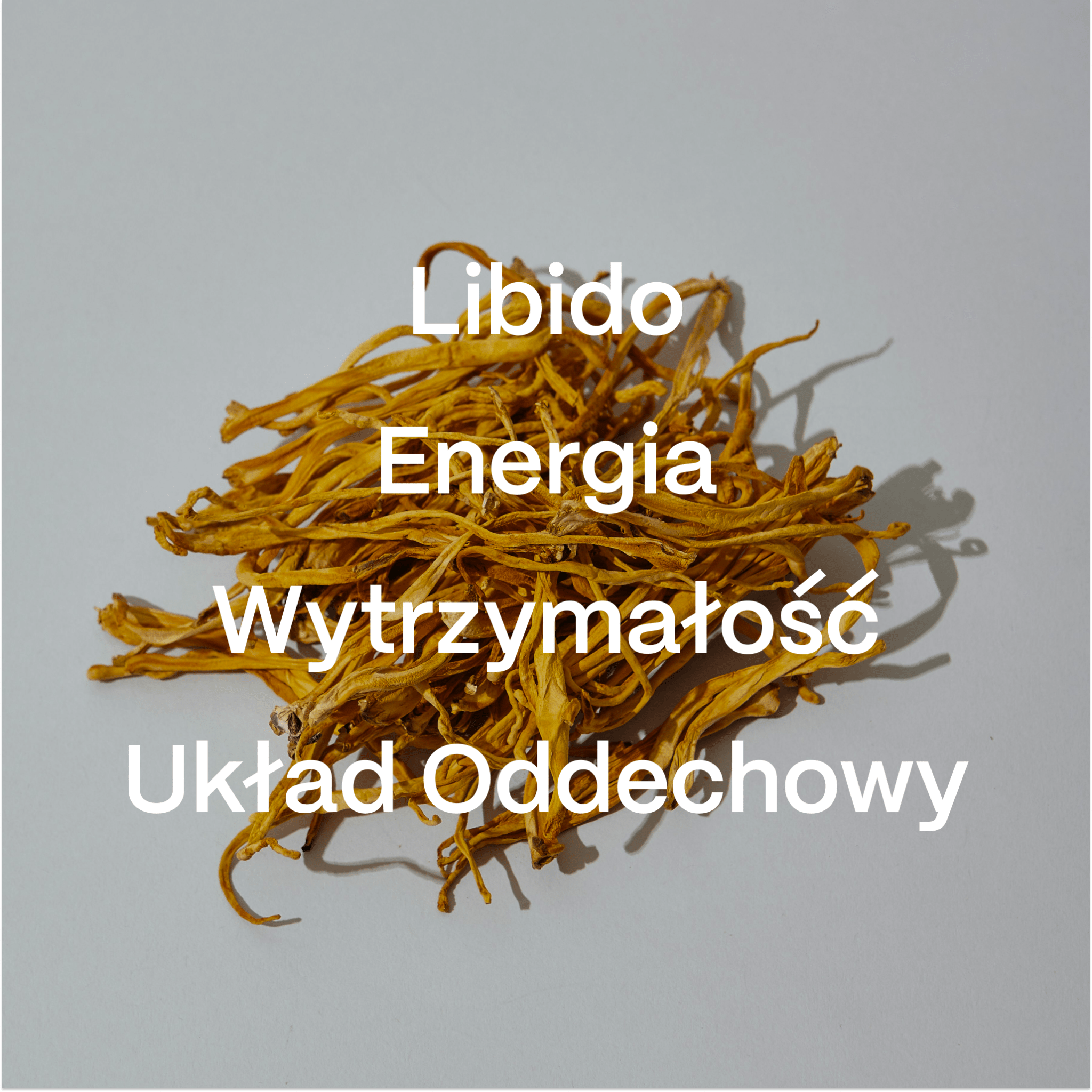 No. 2 — Cordyceps - Soma