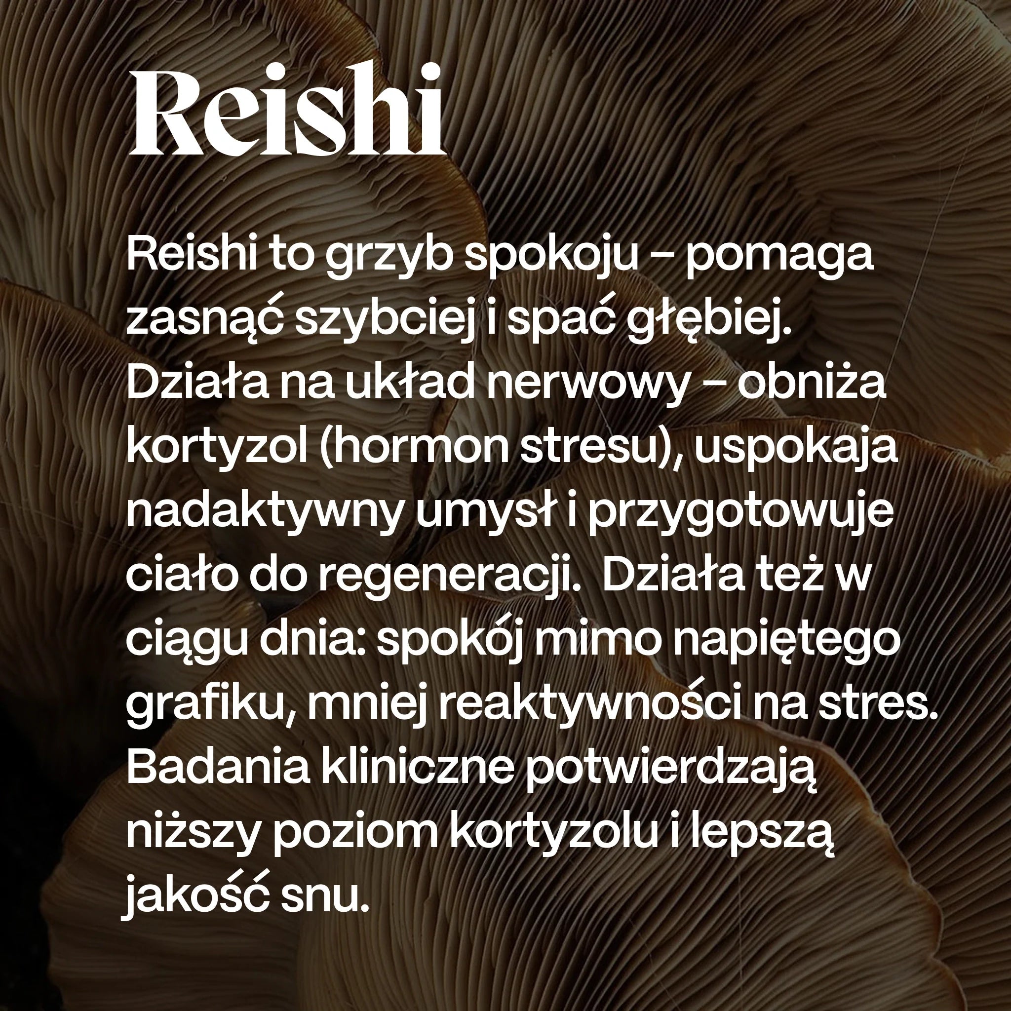 Reishi - korzyści