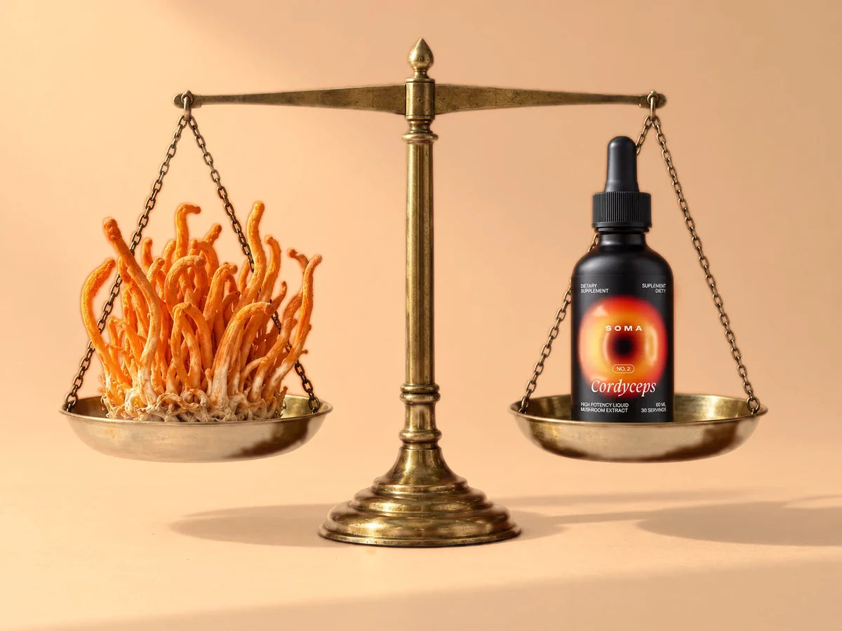 Mosiężna waga w równowadze: kordyceps na jednej szalce, butelka SOMA Cordyceps na drugiej