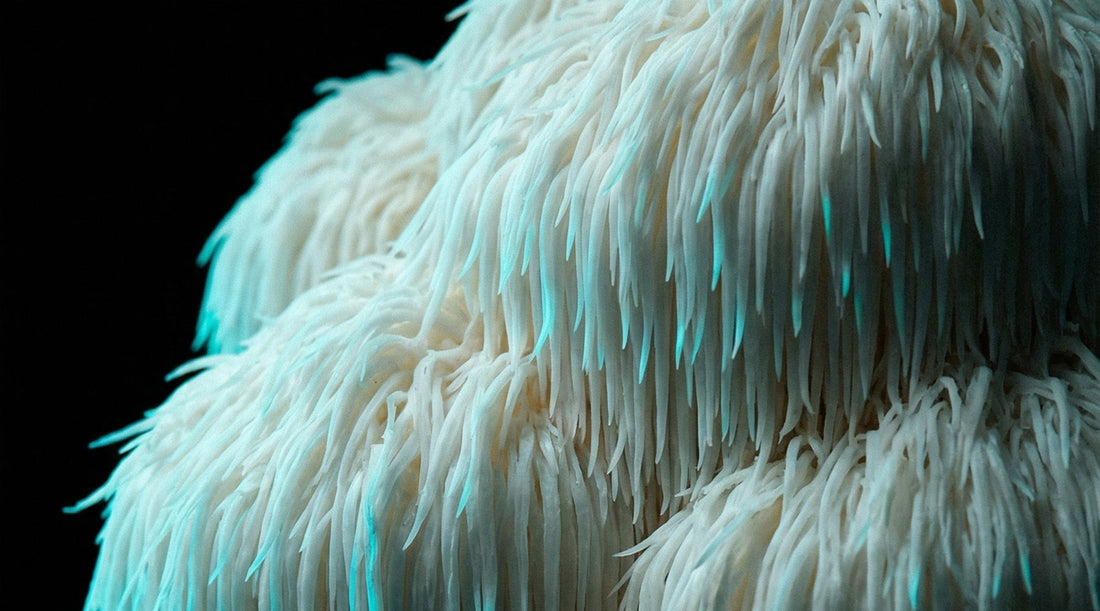 Twój mózg tworzy nowe komórki. Ale tylko wieczorami.