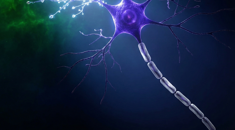 Skupienie to nie siła woli. To neurochemia.