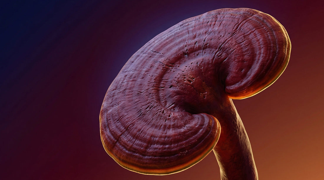 Układ odpornościowy silniejszy o 83%