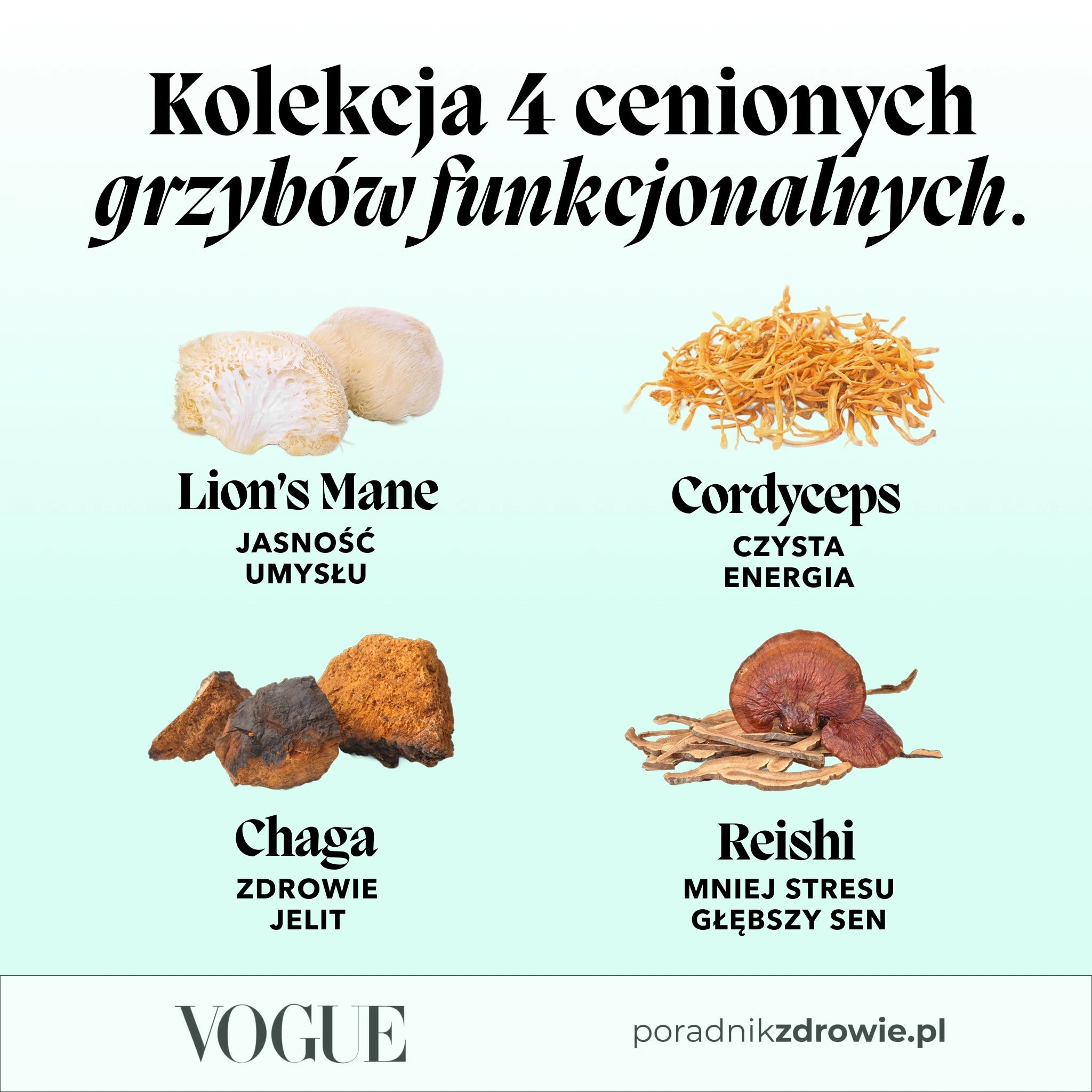 Kompletny Zestaw Grzybów