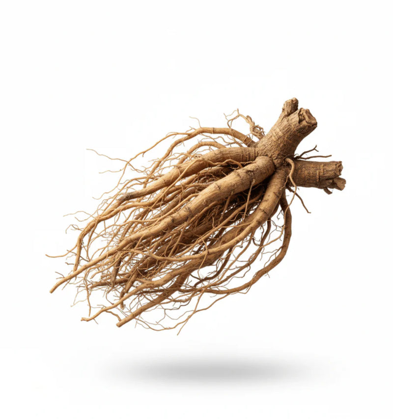 ashwagandha root