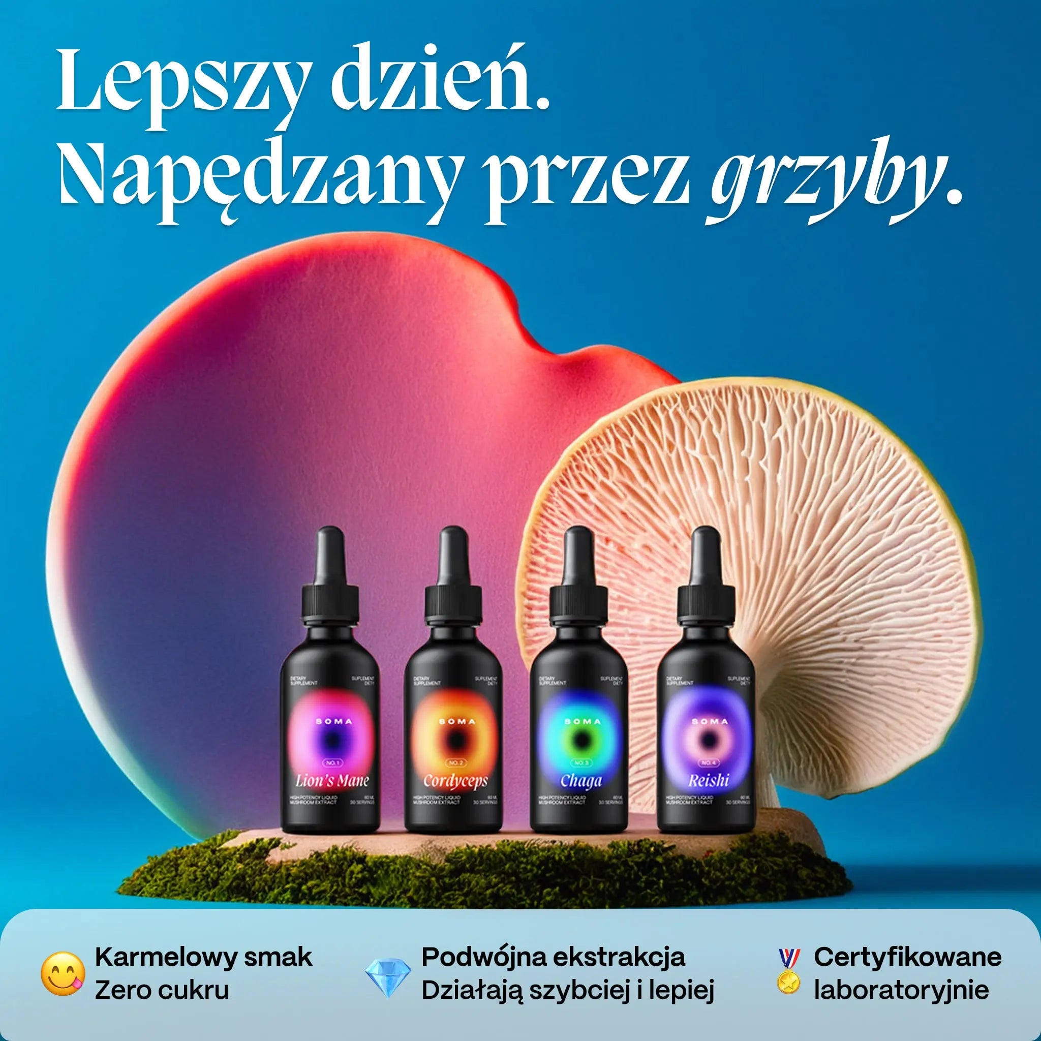 Kompletny Zestaw Grzybów