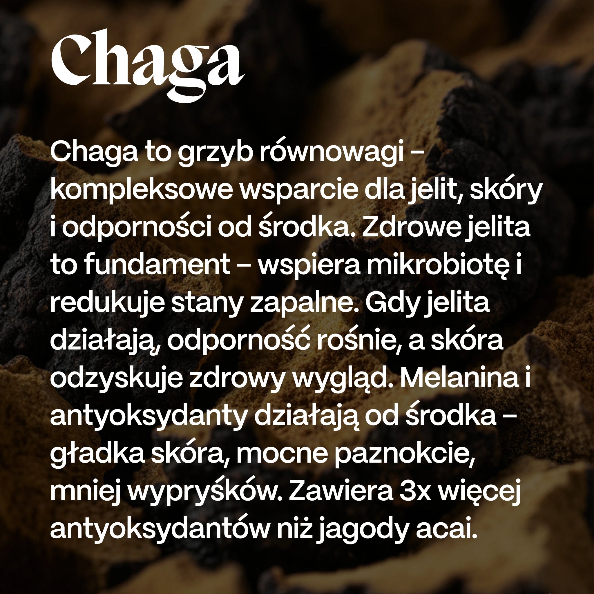 Chaga – Płynny Ekstrakt