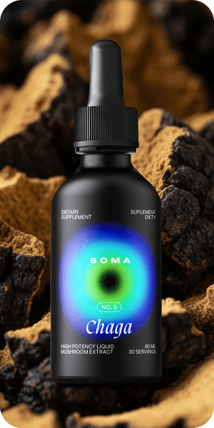 Chaga